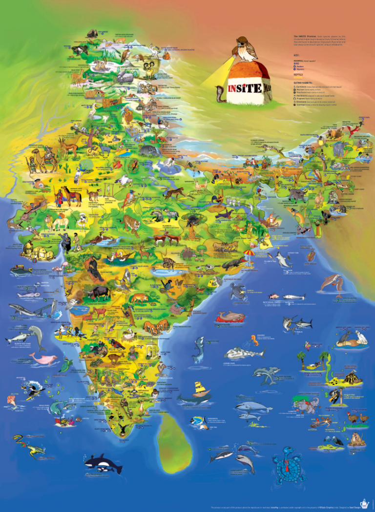 INSITE MAP – Seed Designs